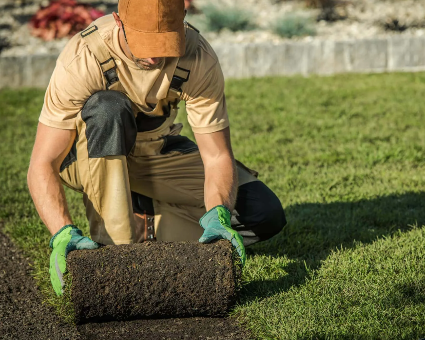 Garden maintenance work